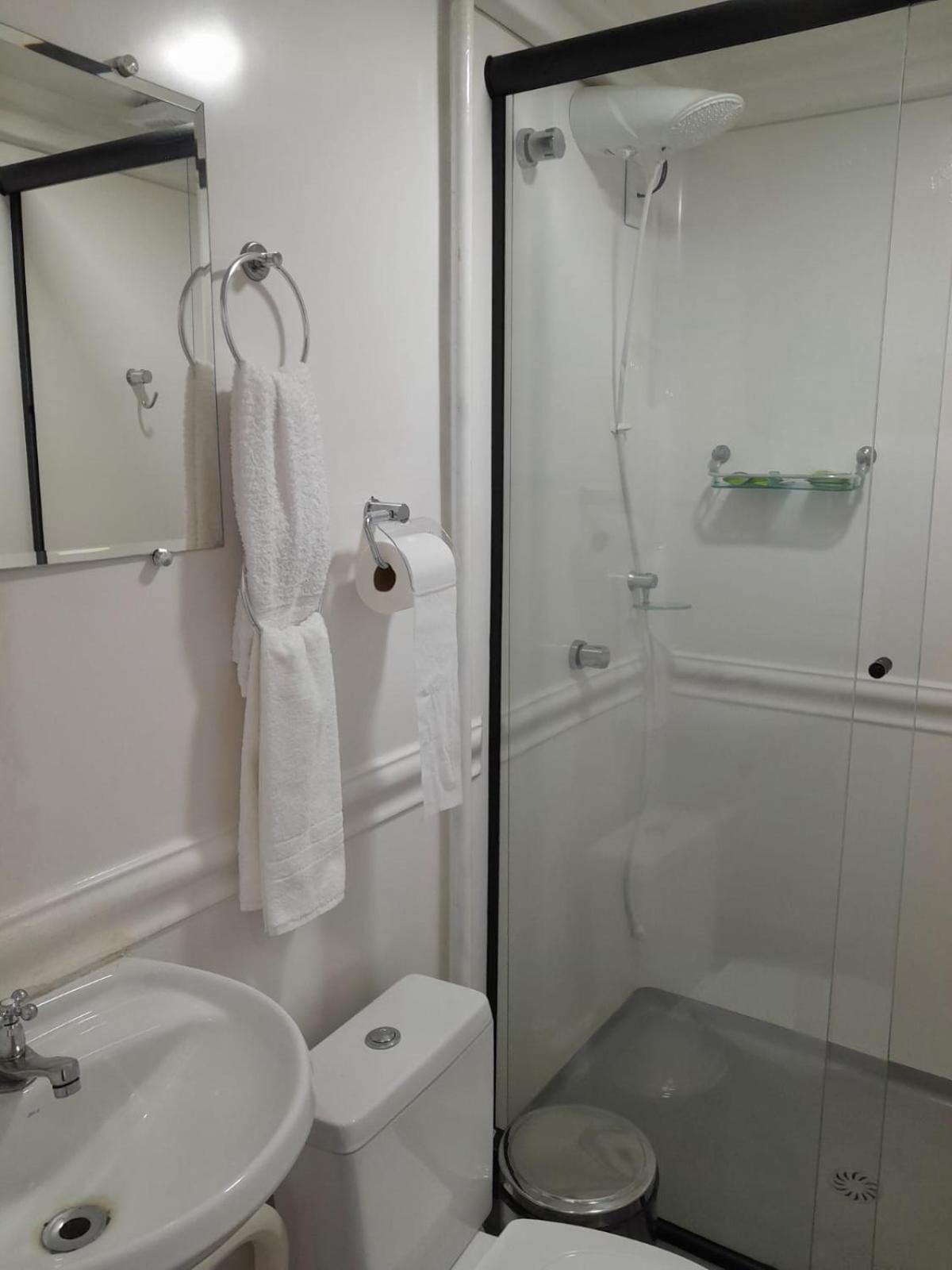 Apartamento No Centro De Otima Localizacao São Paulo